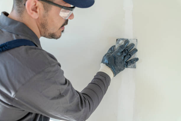 Best Commercial Painting Services  in Celoron, NY